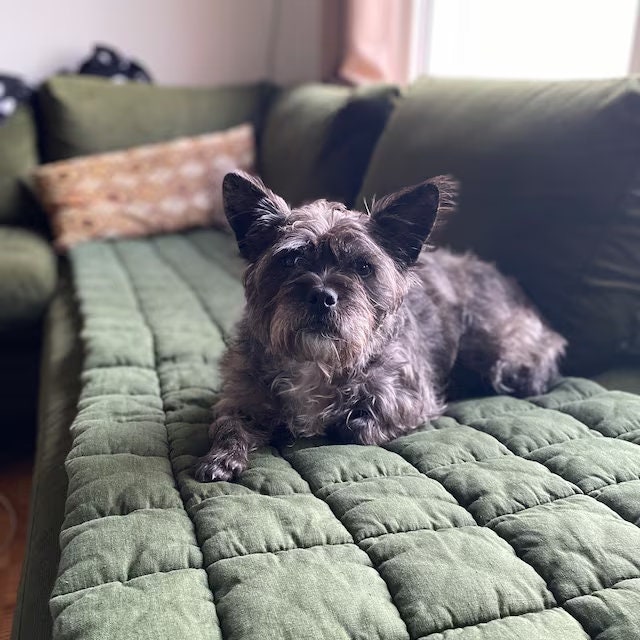 Sofa Topper Dog Etsy Canada