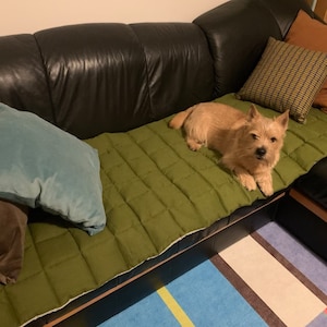 May include: A small, light brown terrier dog with pointed ears and a black nose resting on a rectangular, olive green quilted mat. The mat features a grid-like stitched pattern and is placed on a black leather sofa with several decorative pillows.
