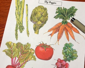 Big Veggies Sticker Set | Garden Illustration | Journal Supplies | Vegetables | Gift for Gardener | Gardening
