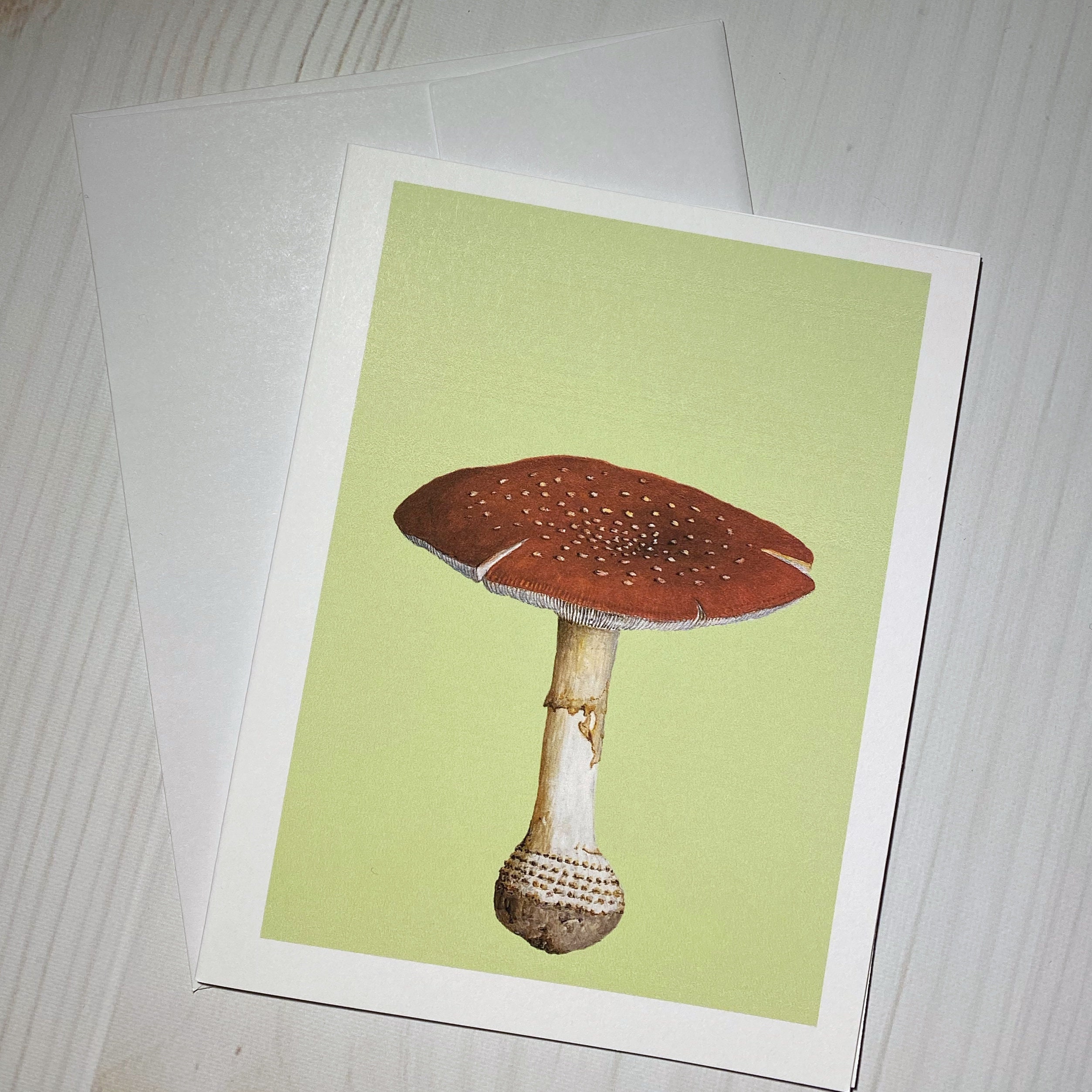 Mushroom Magic Greeting Cards Green set of 5 Blank With Etsy