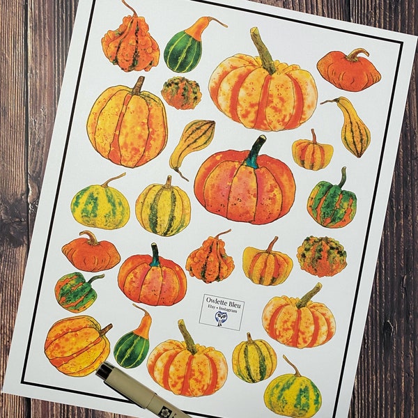 Pumpkins & Gourds Sticker Set – Fall, Halloween, Thanksgiving