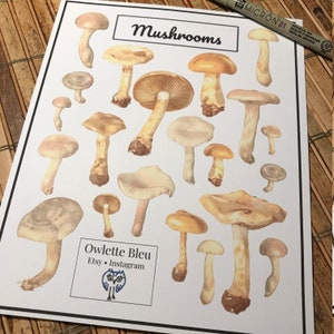 Mushroom Sticker Set