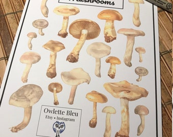 Op de afbeelding: Een afdrukbaar vel met aquarel illustraties van verschillende paddenstoelen. Het vel is getiteld "Mushrooms" en bevat de naam van de kunstenaar en zijn social media handles: "Owlette Bleu Etsy. Instagram".