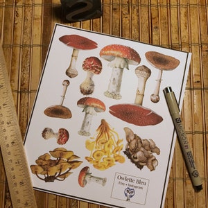 Mushroom II Sticker Set