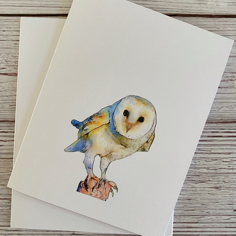 mixed set of 5, blank with envelope seals Owl Greeting Card Set