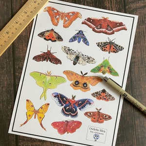 Moth Magic Sticker Set