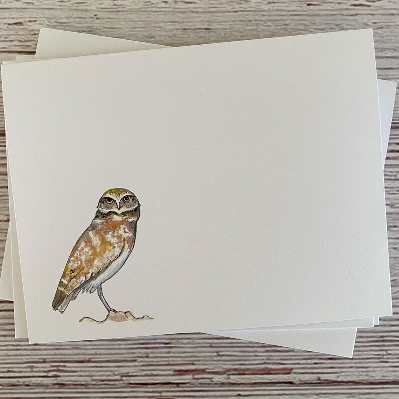 mixed set of 5, blank with envelope seals Owl Greeting Card Set
