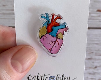 Anatomical Heart Acrylic Tack Pin ( anatomy / physiology / healthcare / nurse / doctor / student )