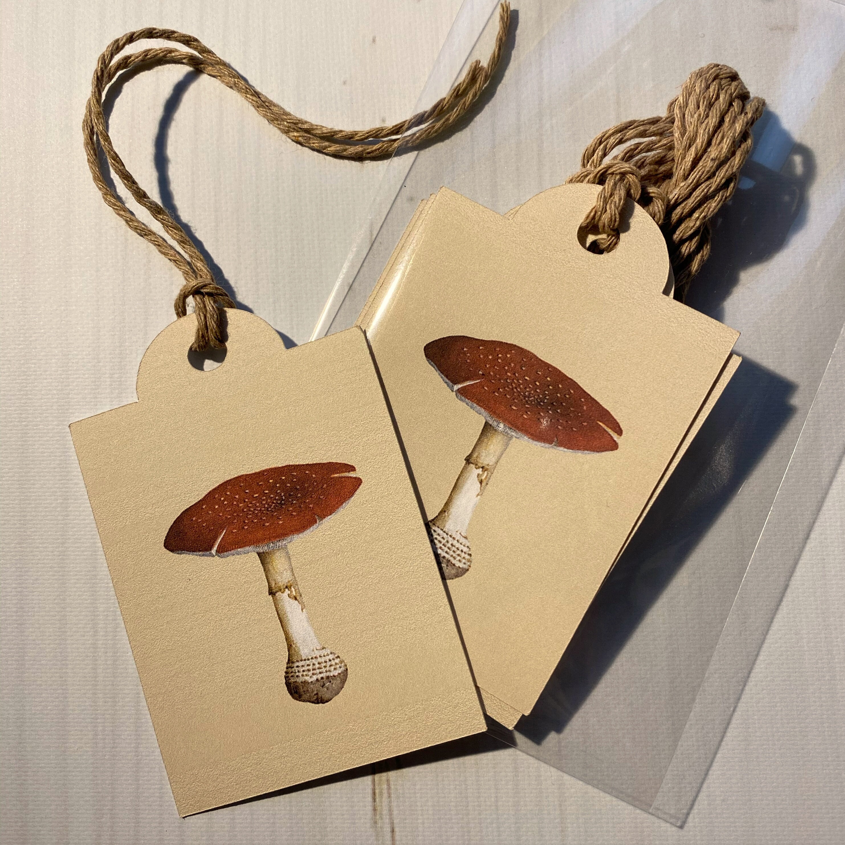 Mushroom Magic Gift Tags pack of 5 - Etsy Polska