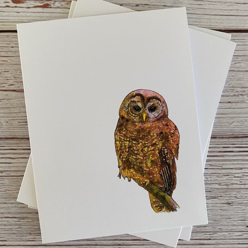 mixed set of 5, blank with envelope seals Owl Greeting Card Set