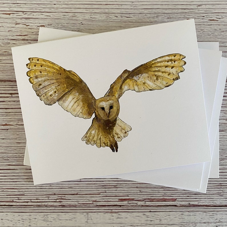 mixed set of 5, blank with envelope seals Owl Greeting Card Set