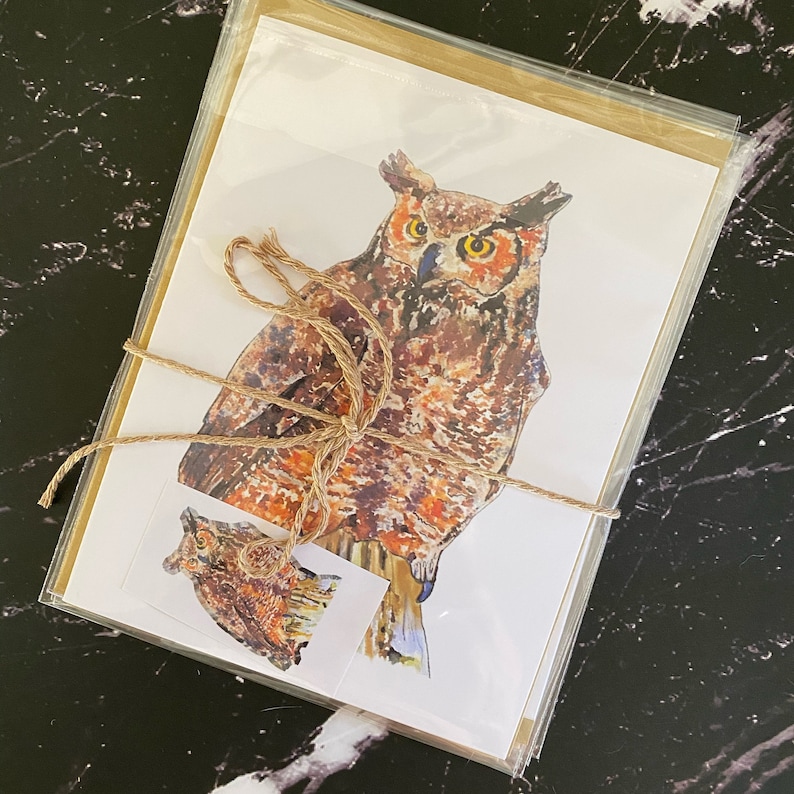 mixed set of 5, blank with envelope seals Owl Greeting Card Set