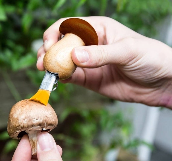 Wooden Mushroom Keychain Knife & Brush 