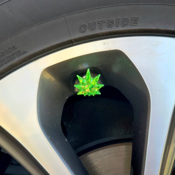 Funny Valve Stem Caps Car Etsy