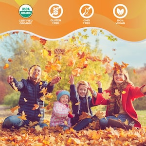 May include: A family of four sits in a pile of fallen autumn leaves, tossing them into the air. The image has a warm, golden color palette. The top of the image features four icons: USDA Organic, Gluten Free, GMO Free, and 100% Vegan.