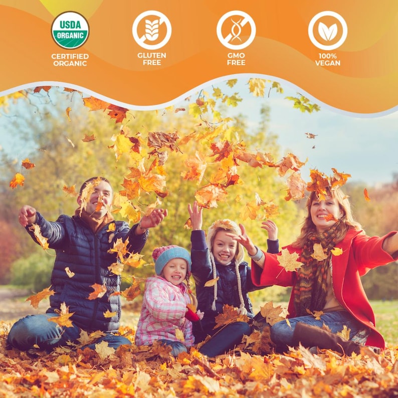 May include: A family of four sits in a pile of fallen autumn leaves, tossing them into the air. The image has a warm, golden color palette. The top of the image features four icons: USDA Organic, Gluten Free, GMO Free, and 100% Vegan.