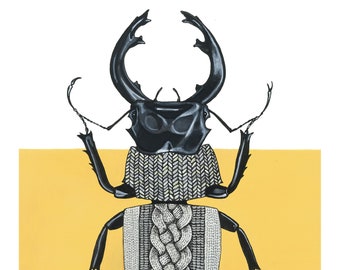 Sweater Beetle