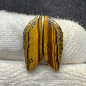 Par de piedras preciosas sueltas de diseño natural con ojo de tigre amarillo, cabujón elegante para aretes, 7 x 23 x 3 mm, 14 cts