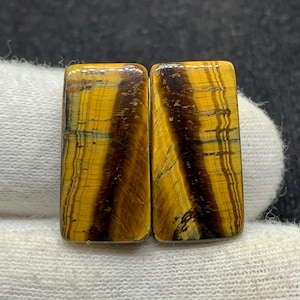 Par de piedras preciosas sueltas de cabujón de ojo de tigre amarillo de diseño natural para pendientes, 11 x 22 x 4 mm, 25 cts