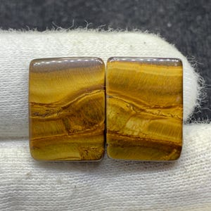 Par de piedras preciosas sueltas de cabujón de ojo de tigre amarillo de diseño natural para pendientes, 13 x 18 x 4 mm, 24 cts