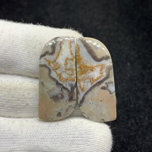 Paire de jaspe toile d'araignée naturelle cabochon fantaisie en vrac pour boucles d'oreilles 13x30x3mm 31 Cts