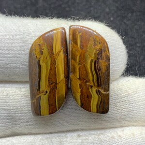Par de piedras preciosas sueltas de diseño natural con ojo de tigre amarillo, cabujón elegante para aretes, 11 x 26 x 4 mm, 32 cts