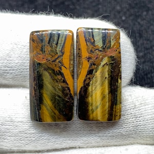 Par de piedras preciosas sueltas de cabujón de ojo de tigre amarillo de diseño natural para pendientes, 11 x 23 x 3 mm, 26 cts