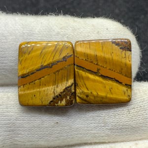 Par de piedras preciosas sueltas de cabujón de ojo de tigre amarillo de diseño natural para pendientes, 15 x 17 x 3 mm, 25 cts