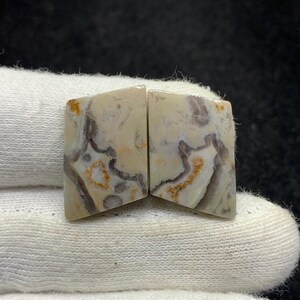 Paire de jaspe toile d'araignée naturelle cabochon fantaisie en vrac pour boucles d'oreilles 14x19x3mm 25 Cts