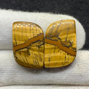 Par de piedras preciosas sueltas de cabujón de ojo de tigre amarillo de diseño natural para pendientes, 15 x 22 x 5 mm, 36 cts