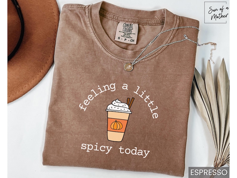 May include: Espresso-colored t-shirt with the phrase "feeling a little spicy today" and a graphic of a pumpkin spice latte. A silver necklace with a small pendant rests on the shirt. The shirt is folded.