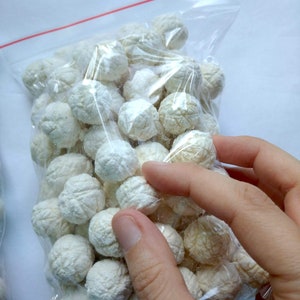 Kazakh Dried Cheese Kurt 1700g. National Kazakh Food - Etsy