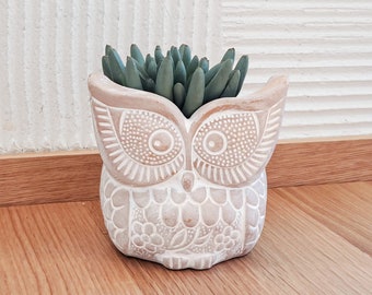 Owl Planter Terracotta Animal Pot With Drainage Planter Handmade Clay Pot Cactus Succulent Planter Gardening Gift Teacher Gift [Big Eye Owl]