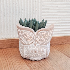 May include: A white ceramic owl planter with a succulent plant inside. The owl planter has a detailed design with a floral pattern and a textured surface.