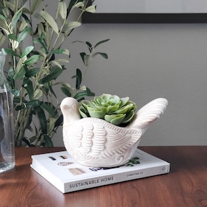May include: A cream-colored bird-shaped planter with a green succulent plant inside. The planter sits atop a book with the words "SUSTAINABLE HOME" on the cover. The bird has carved details and is on a wooden surface.
