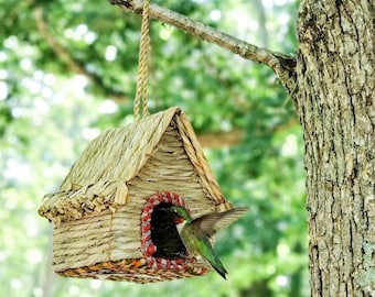 May include: A woven birdhouse with a thatched roof hangs from a tree branch. The birdhouse has a red and white trim around the entrance. A hummingbird with green and red feathers is flying near the entrance.