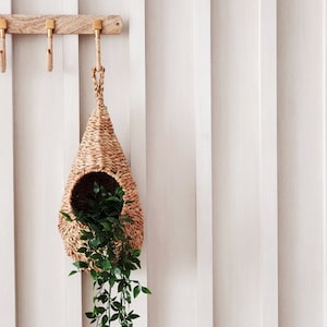 May include: A natural woven hanging planter in the shape of a teardrop, with a green plant growing inside. The planter is hanging from a wooden hook on a white wall.