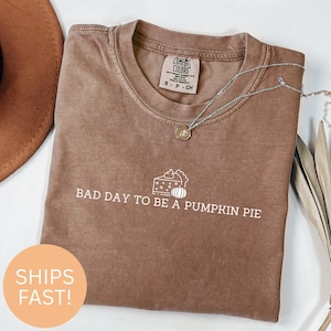 Puede incluir: Camiseta Comfort Colors marrón con el texto blanco "BAD DAY TO BE A PUMPKIN PIE". Un collar plateado con un colgante está sobre la camiseta. La camiseta es talla S.