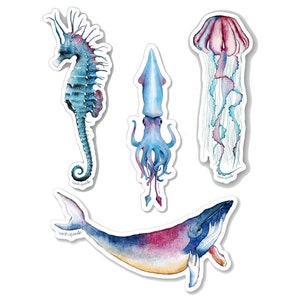 Stickers méduse, hippocampe, baleine, calamar