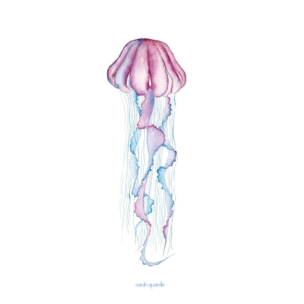 Jellyfish - poster, Art Print, home decor, illustration, decoration, animal art