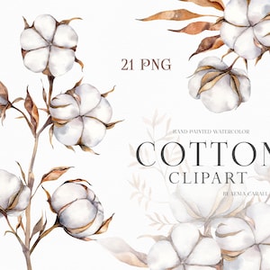Clipart de algodão, clipart de aquarela de algodão, galhos de algodão, clipart de casamento, flores de algodão PNG, clipart de flores boho, bolas de algodão PNG