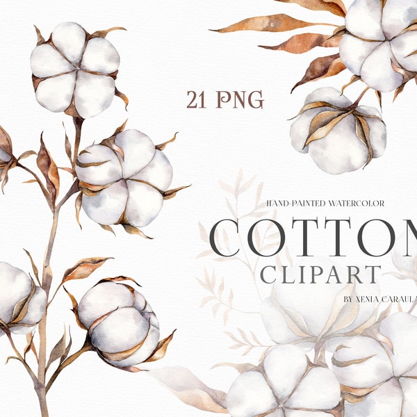 Cotton clipart, Cotton Watercolor Clipart, Cotton Branches, Wedding clipart, Cotton flowers PNG, Boho Flowers Clipart, Cotton Balls PNG