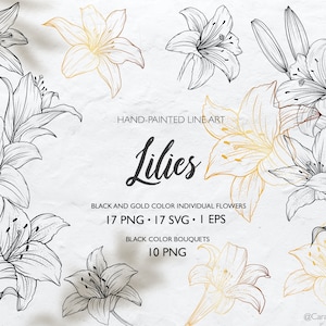 Buquês de arte em linha de lírios PNG, lírios SVG, flores de arte em linha, arte em linha de lírio SVG, clipart de casamento, arte em linha floral, contornos de flores, desenhado à mão