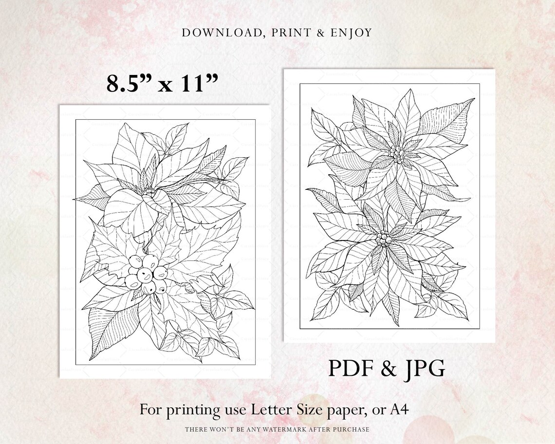 Christmas Coloring Pages, Poinsettia Coloring, Adult Coloring Pages