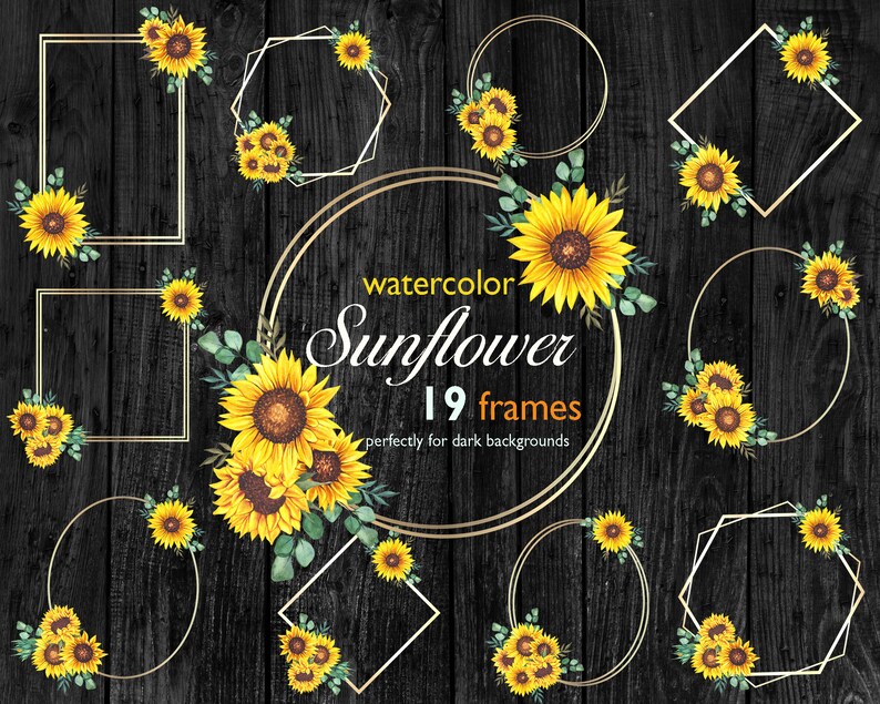 Geometric Sunflower Floral Frames Rustic frames clipart Yellow floral Sunflower digital frame PNG Floral Wedding frames Sunflower art