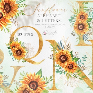Alfabeto de girasol de acuarela, alfabeto floral de acuarela, letras y números florales, letras de girasol, monograma de invitación de boda PNG
