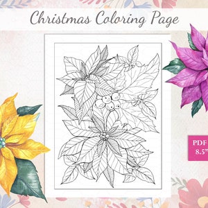 Christmas Coloring Activities, Poinsettia Coloring, Adult Coloring Pages, Floral Coloring Pages for adults, Coloring at Home, Home Activity