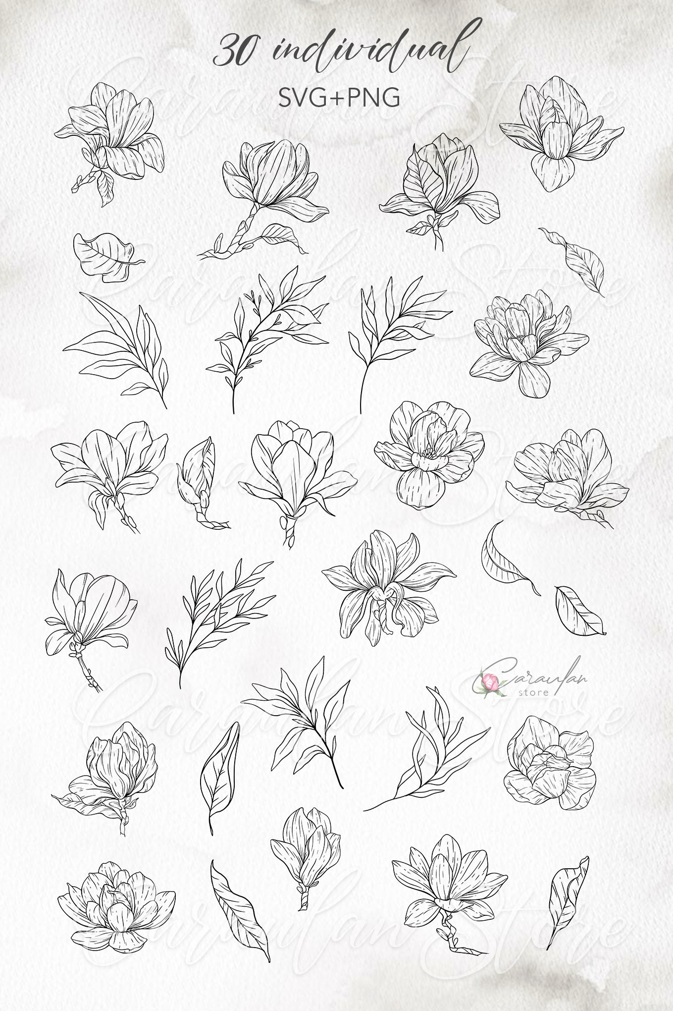 Floral Line Art Svg Botanical Clipart Magnolia Line Art - Etsy