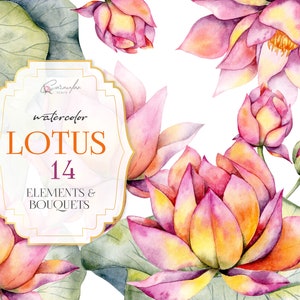 Lotus clipart, Lotus aquarel clipart, waterlelies clipart, Lotus illustratie, bloemen aquarel clipart, bruiloft aquarel clipart