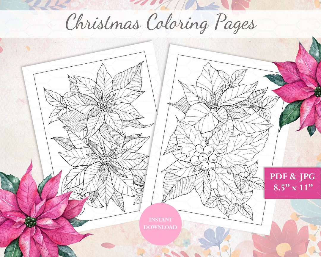 Christmas Coloring Pages, Poinsettia Coloring, Adult Coloring Pages